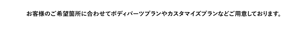 お客様のご希望箇所に合わせてボディパーツプランやカスタマイズプランなどご用意しております。
