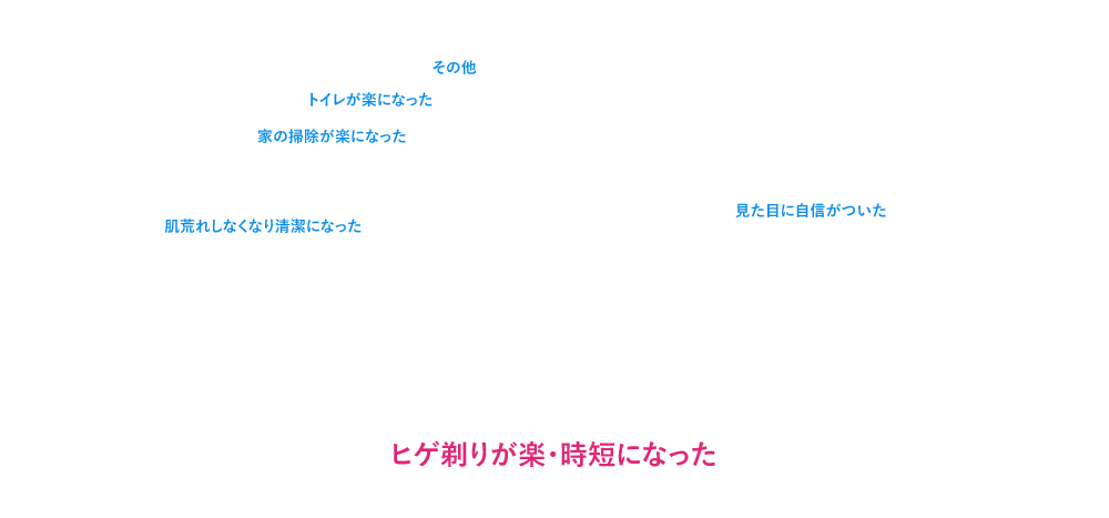 髭剃りが楽・時短になった / 見た目に自信がついた / 肌荒れしなくなり清潔になった / 家の掃除が楽になった / トイレが楽になった